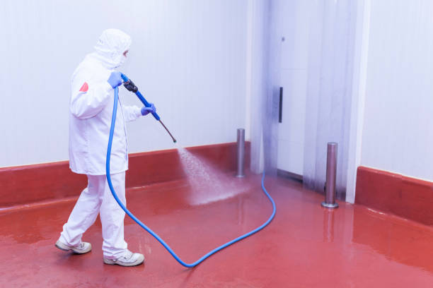 Best Playground Equipment Cleaning  in Powell, OH